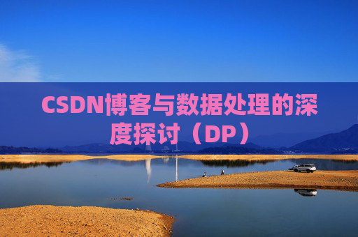 CSDN博客与数据处理的深度探讨（DP）